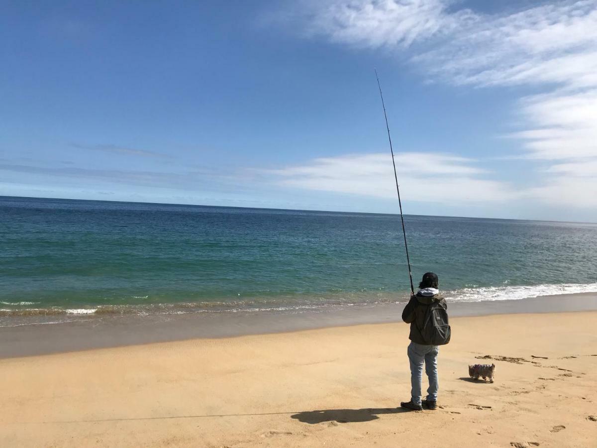 Depa Torre Juan Fernandez Lägenhet Vina del Mar Exteriör bild