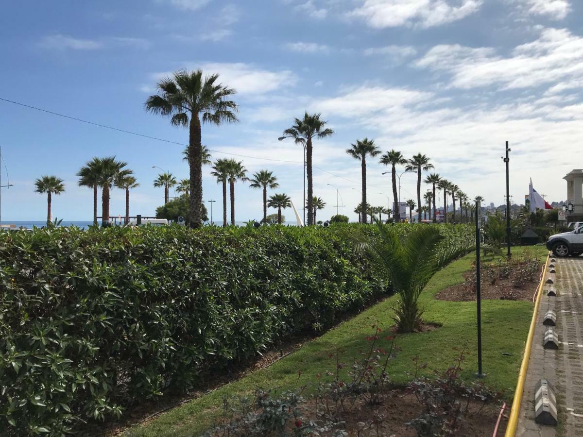 Depa Torre Juan Fernandez Lägenhet Vina del Mar Exteriör bild